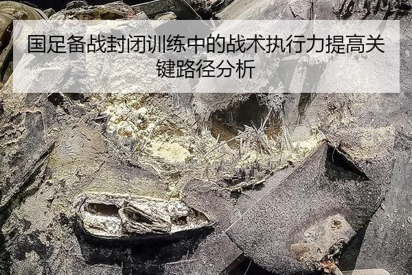 guo-zu-bei-zhan-feng-bi-xun-lian-zhong-de-zhan-shu-zhi-xing-li-ti-gao-guan-jian-lu-jing-fen-xi-2-273.jpg